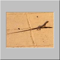 04- Longue queue.html